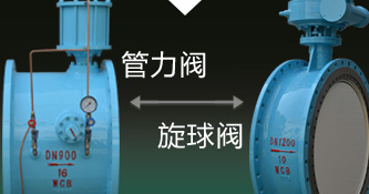 與世博攜手共贏未來